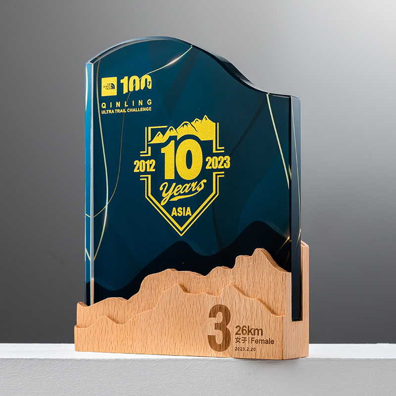 Crystal Trophy made by Wood stand + Crystal